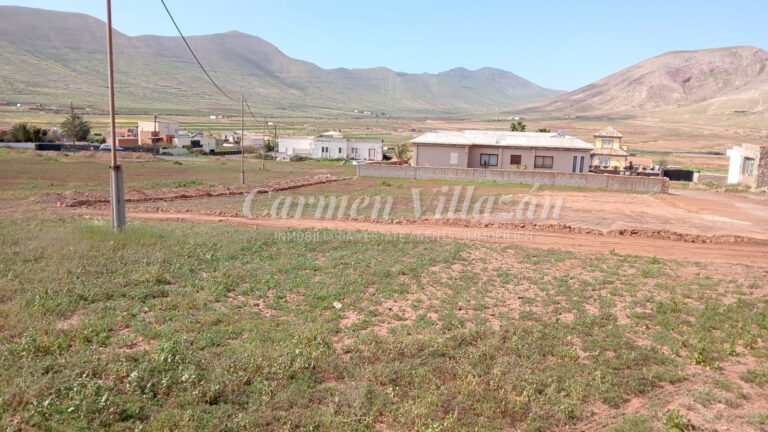 WhatsApp Image 2026-02-20 at 12.07