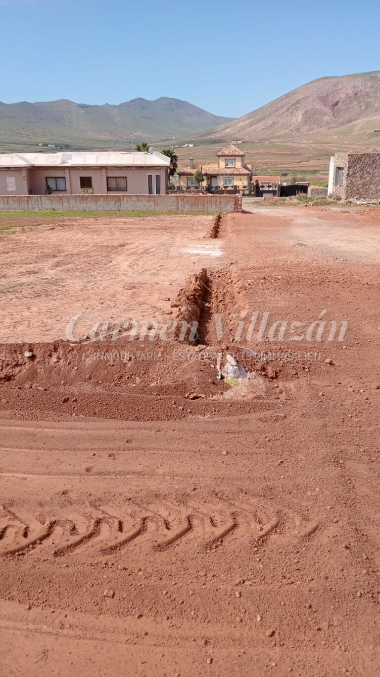 WhatsApp Image 2026-02-20 at 12.07