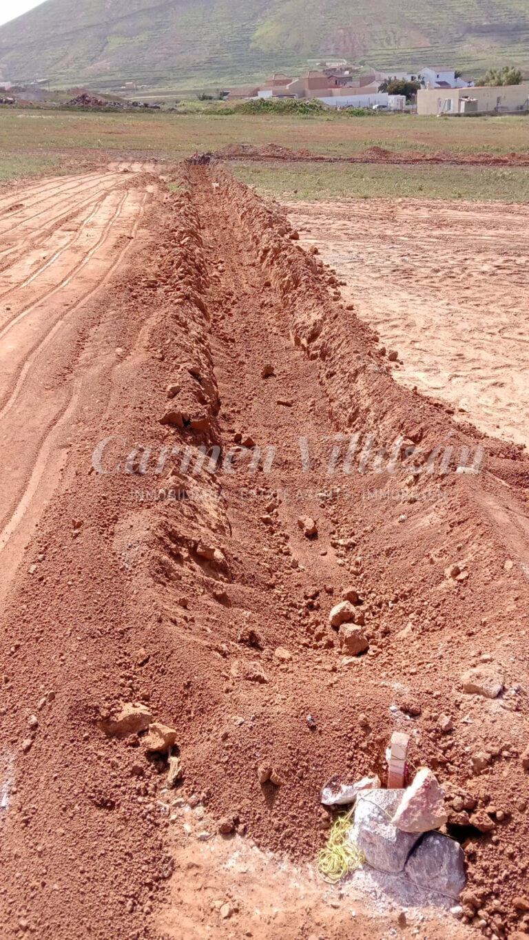 WhatsApp Image 2026-02-20 at 12.07