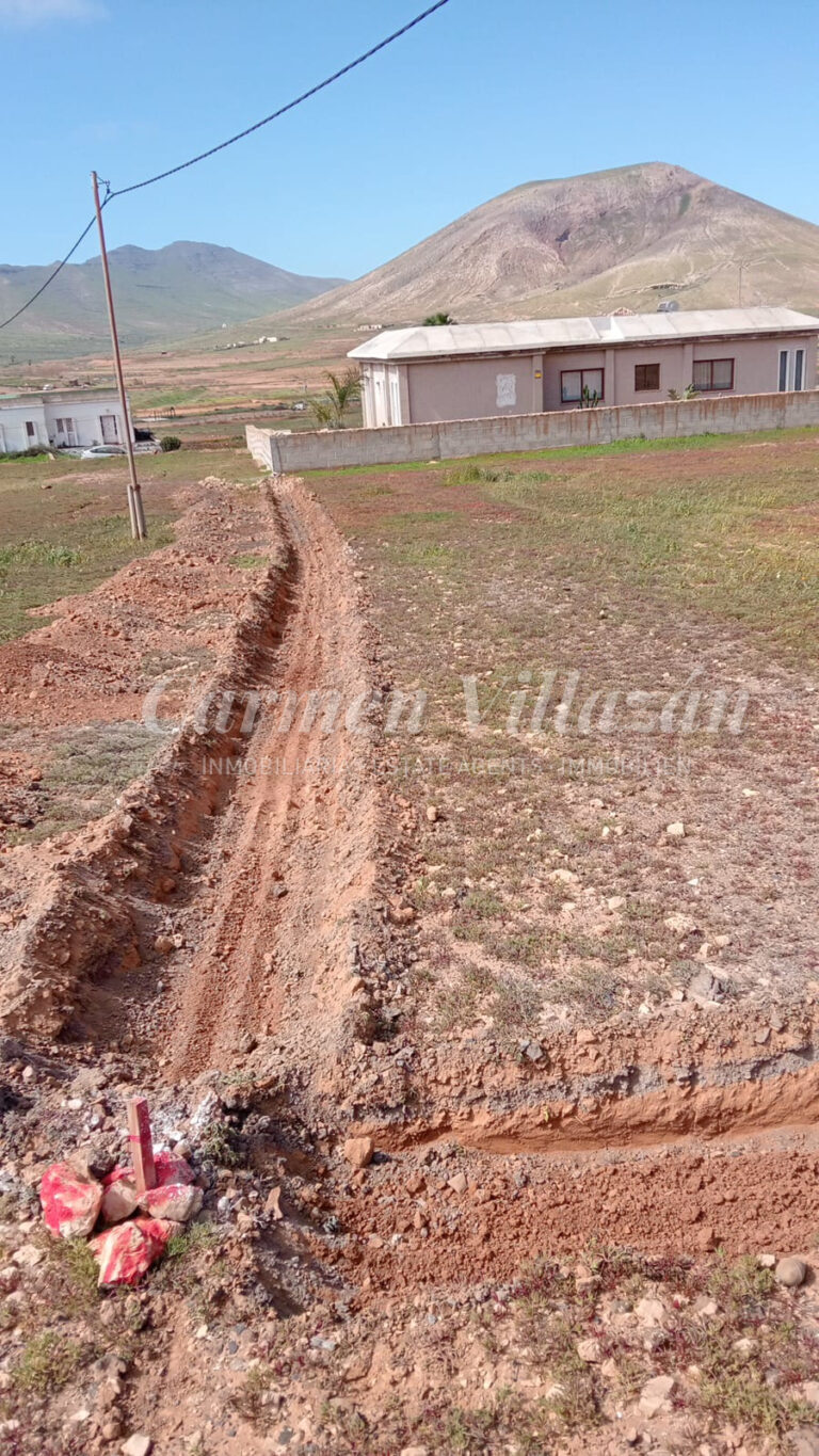 WhatsApp Image 2026-02-20 at 12.08