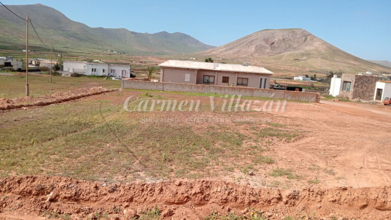 WhatsApp Image 2026-02-20 at 12.09