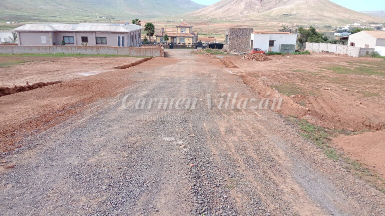 WhatsApp Image 2026-02-20 at 12.10