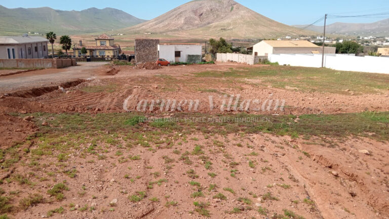 WhatsApp Image 2026-02-20 at 12.10