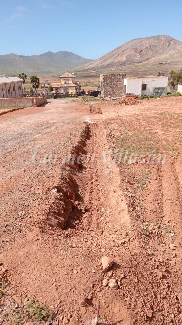 WhatsApp Image 2026-02-20 at 12.11