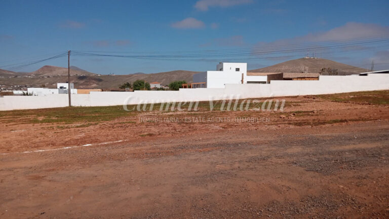 WhatsApp Image 2026-02-20 at 12.12