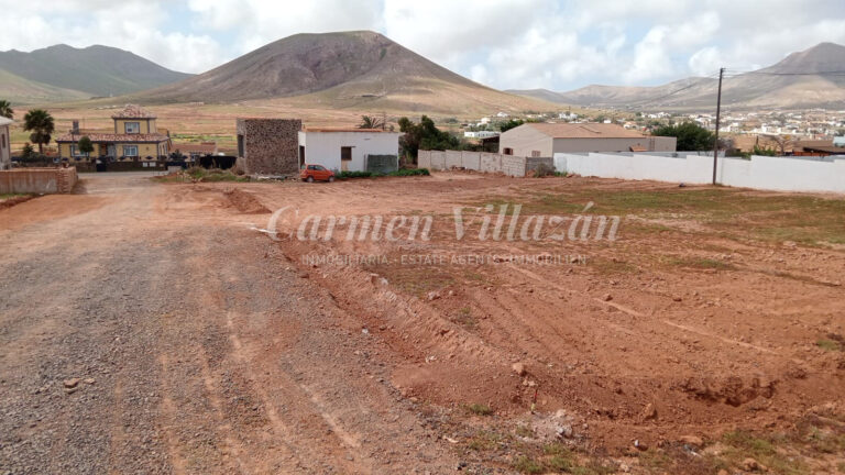 WhatsApp Image 2026-02-25 at 13.31