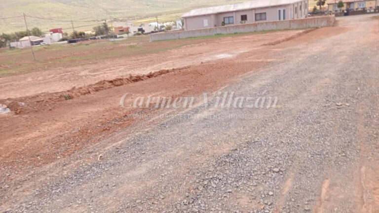 WhatsApp Image 2026-02-25 at 13.31