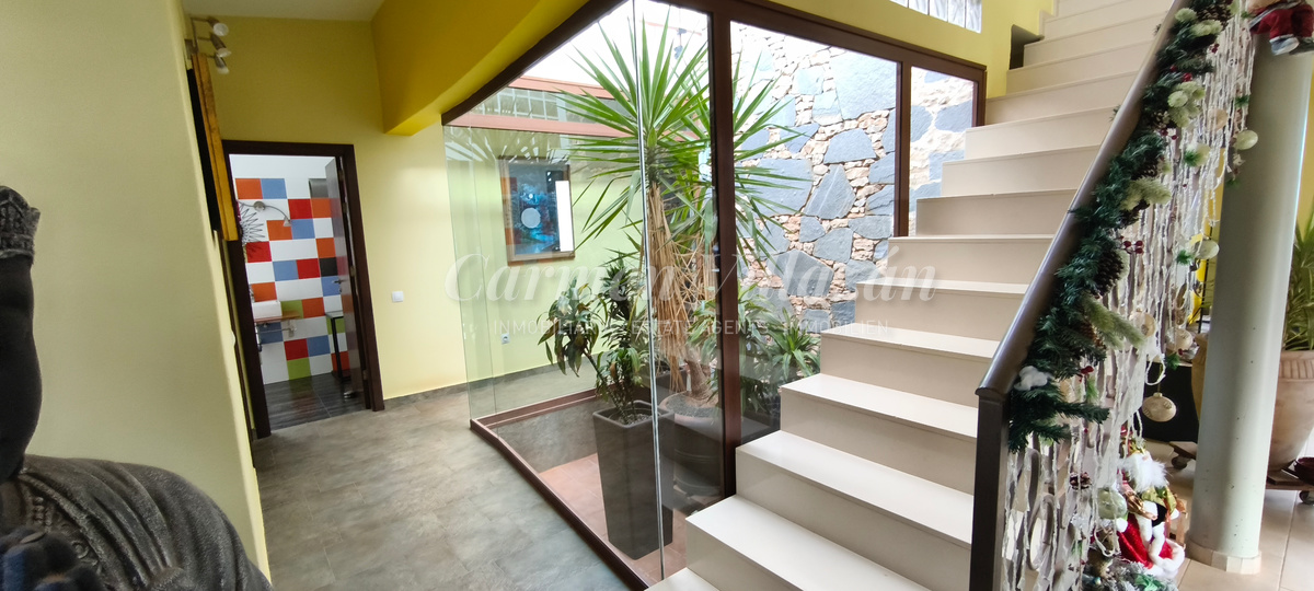 Jardín interior acristalado junto al salón.