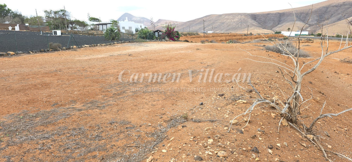 Terreno anexo a la vivienda en venta en Los Estancos, villa de Lujo